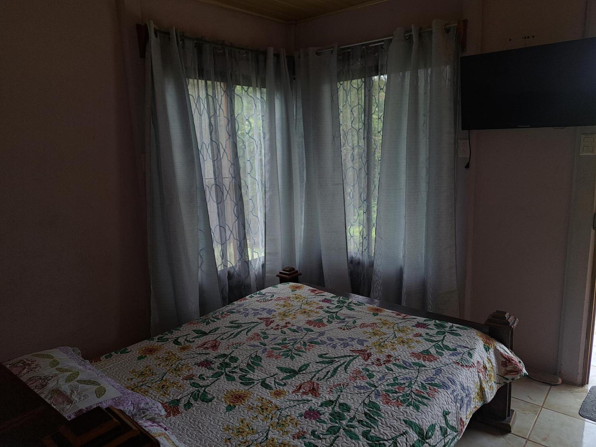 Hospedaje Luis & Ana Pejibaye ห้อง รูปภาพ
