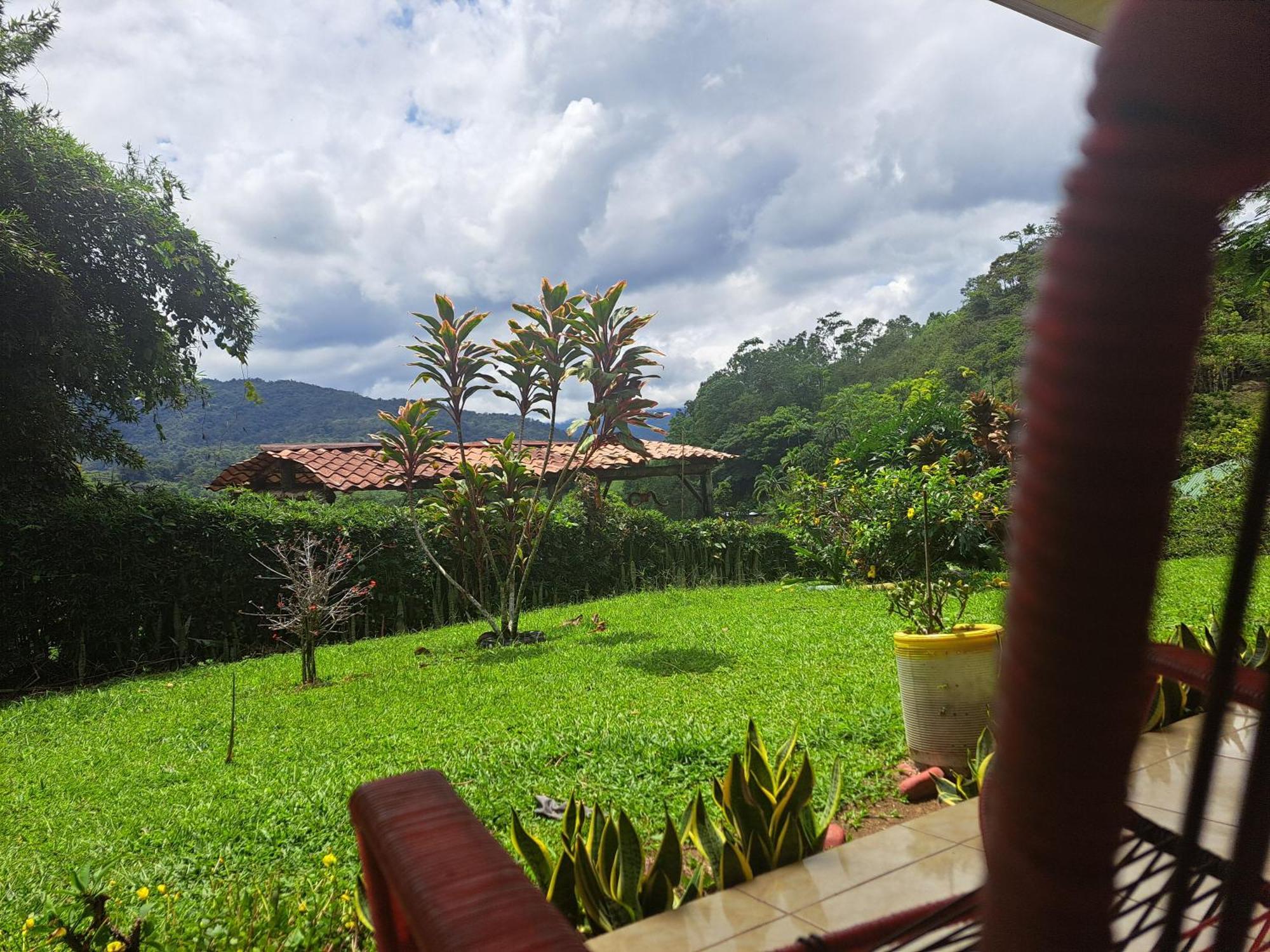 Hospedaje Luis & Ana Pejibaye ภายนอก รูปภาพ